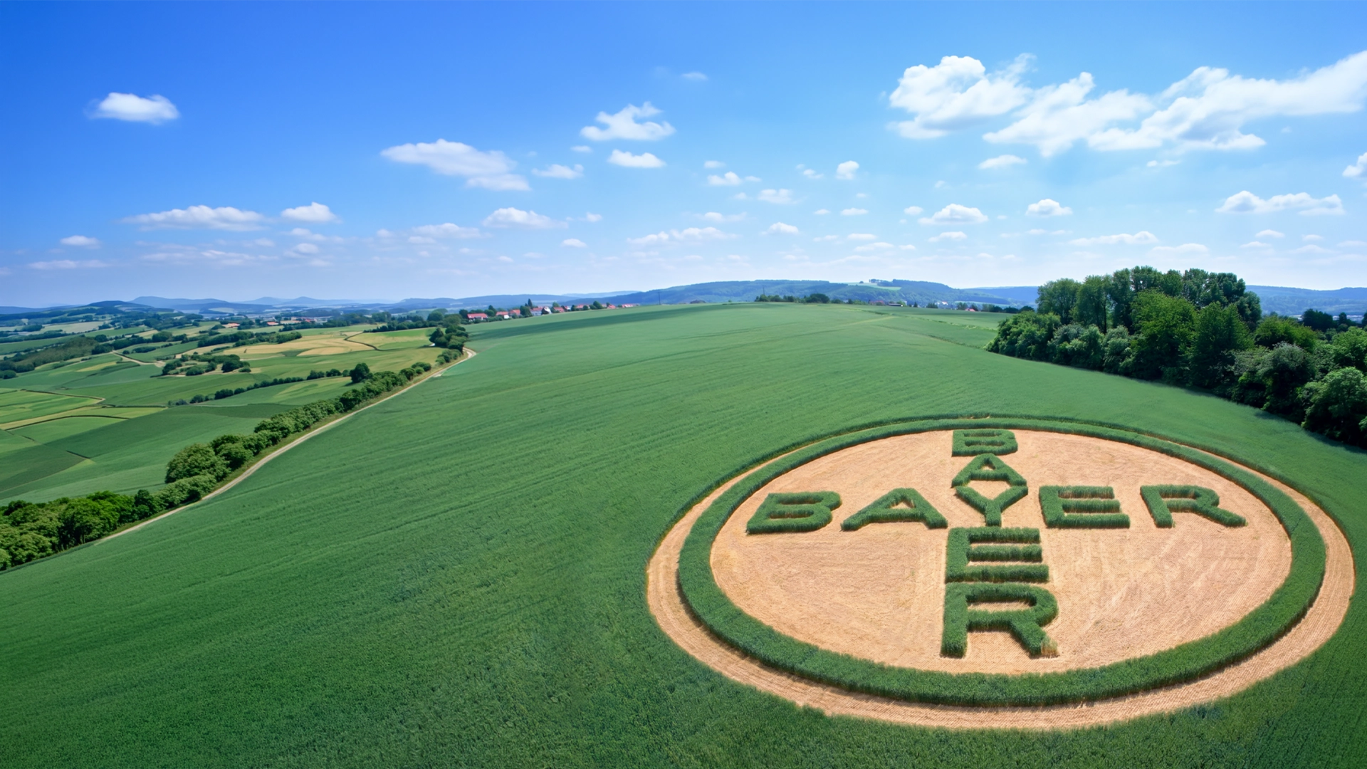 Bayer-Logo auf einem Feld in Grün- und Goldtönen.