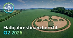 Bayer-Logo auf einem Feld in Grün- und Goldtönen.