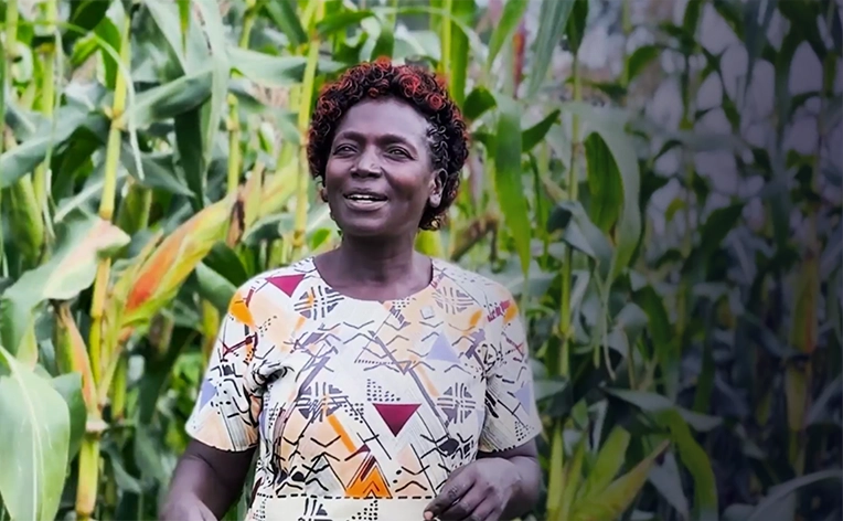 A smiling woman with short, curly dark hair highlighted with reddish tones stands in a lush green cornfield. 