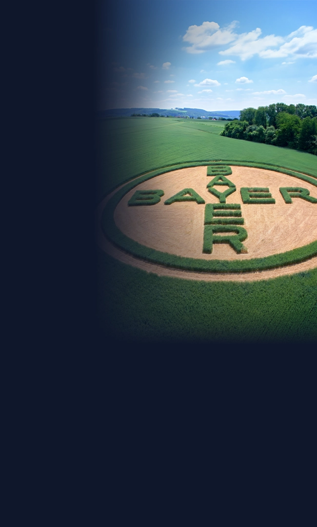 Bayer logo displayed on a field in shades of green and gold.