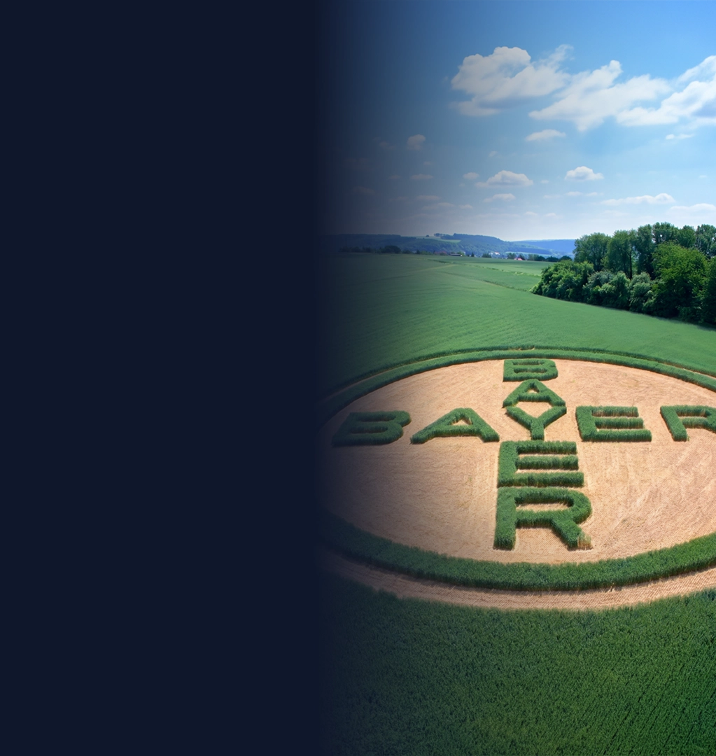 Bayer logo displayed on a field in shades of green and gold.