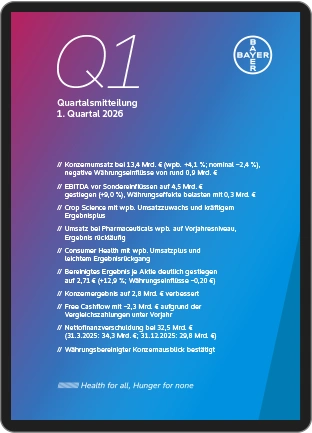 Cover PDF-Version des Berichtes